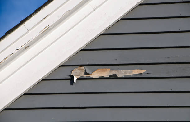 Best Vinyl Siding Installation  in New Madison, OH